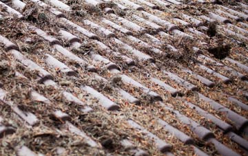 Wiggenhall St Germans roof cleaning companies